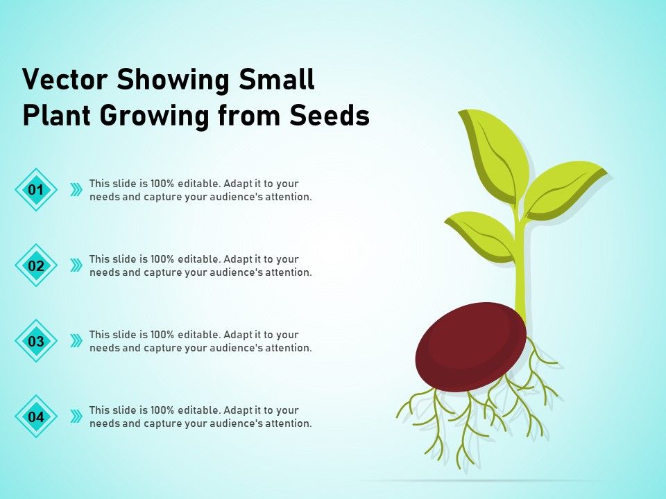 Vector_Showing_Small_Plant_Growing_From_Seeds_Ppt_PowerPoint_Presentation_Show_Clipart_PDF_Slide_1.jpg