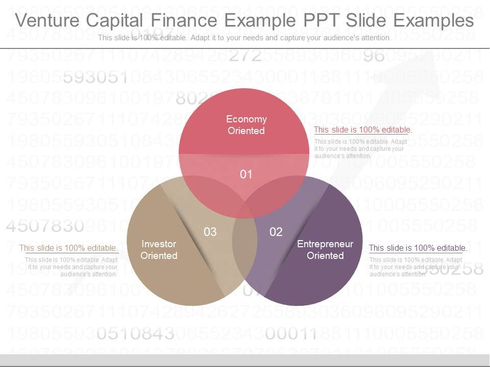 Venture_Capital_Finance_Example_Ppt_Slide_Examples_1.jpg