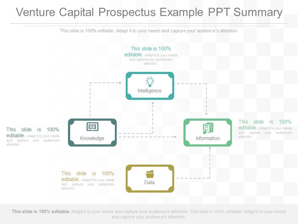 Venture_Capital_Prospectus_Example_Ppt_Summary_1.jpg