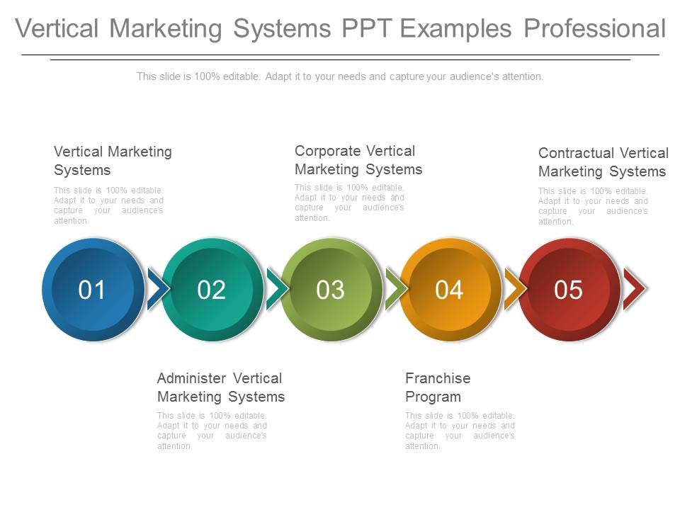 Vertical_Marketing_Systems_Ppt_Examples_Professional_1.jpg