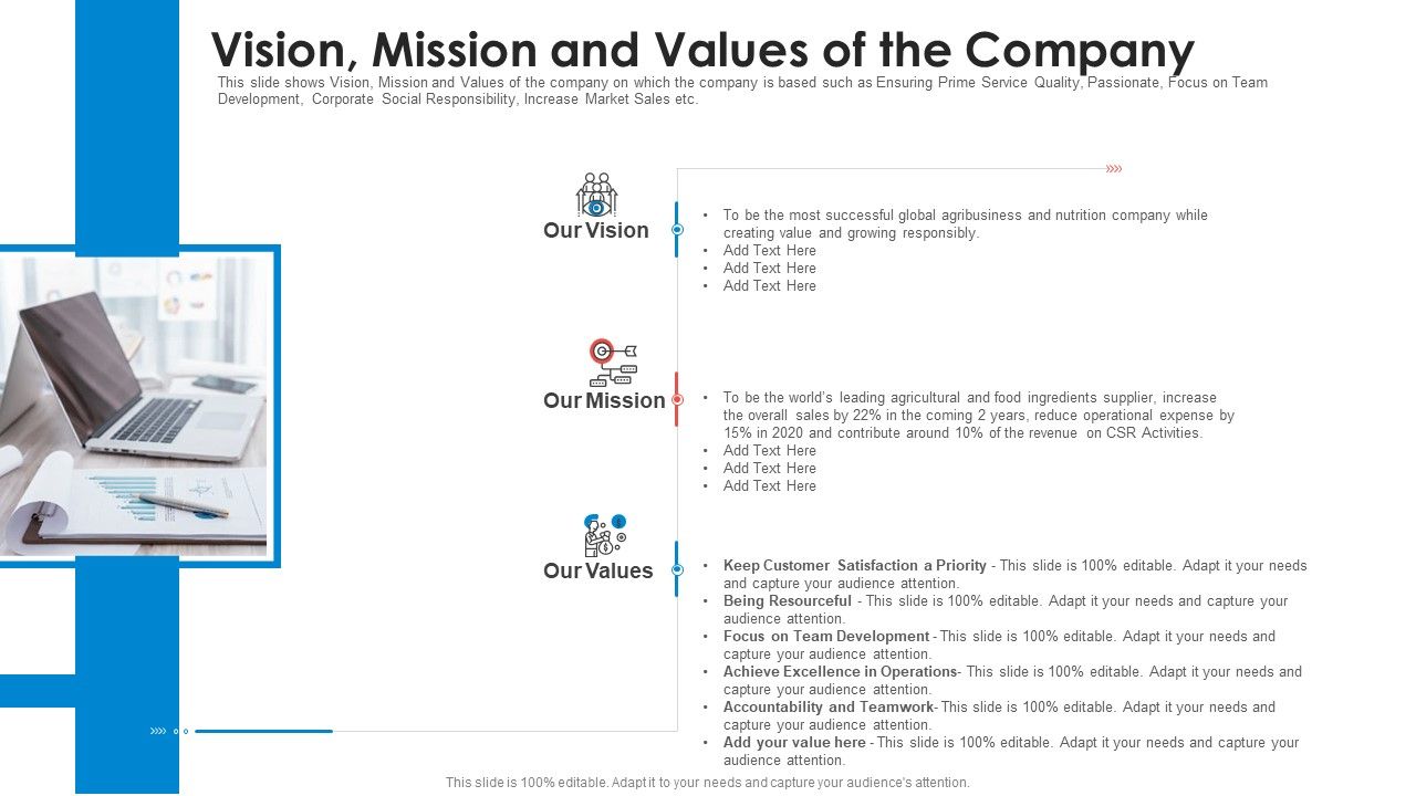 Vision_Mission_And_Values_Of_The_Company_Professional_PDF_Slide_1.jpg