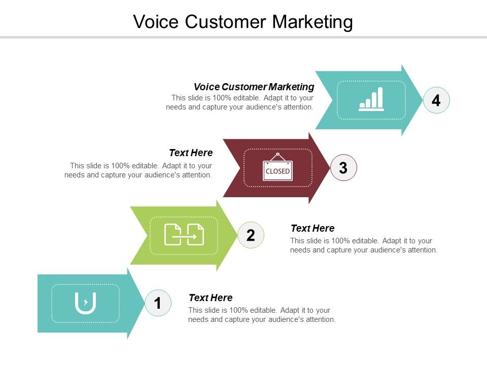 Voice_Customer_Marketing_Ppt_PowerPoint_Presentation_Infographic_Template_Graphic_Tips_Cpb_Slide_1.jpg