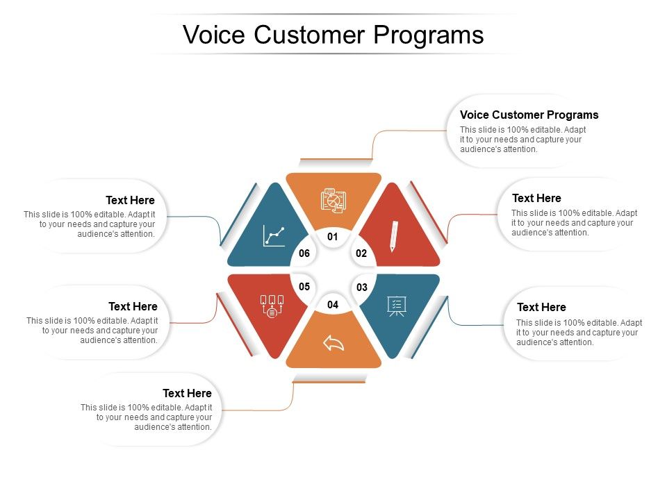 Voice_Customer_Programs_Ppt_PowerPoint_Presentation_Show_Microsoft_Cpb_Pdf_Slide_1.jpg