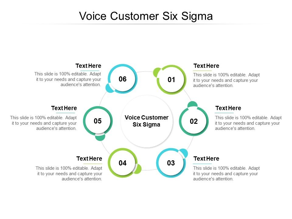 Voice_Customer_Six_Sigma_Ppt_PowerPoint_Presentation_Portfolio_Background_Images_Cpb_Slide_1.jpg