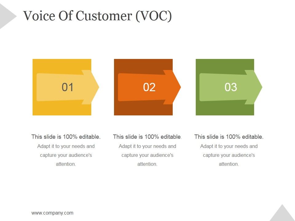 Voice_Of_Customer_Voc_Ppt_PowerPoint_Presentation_Inspiration_Slide_1.jpg