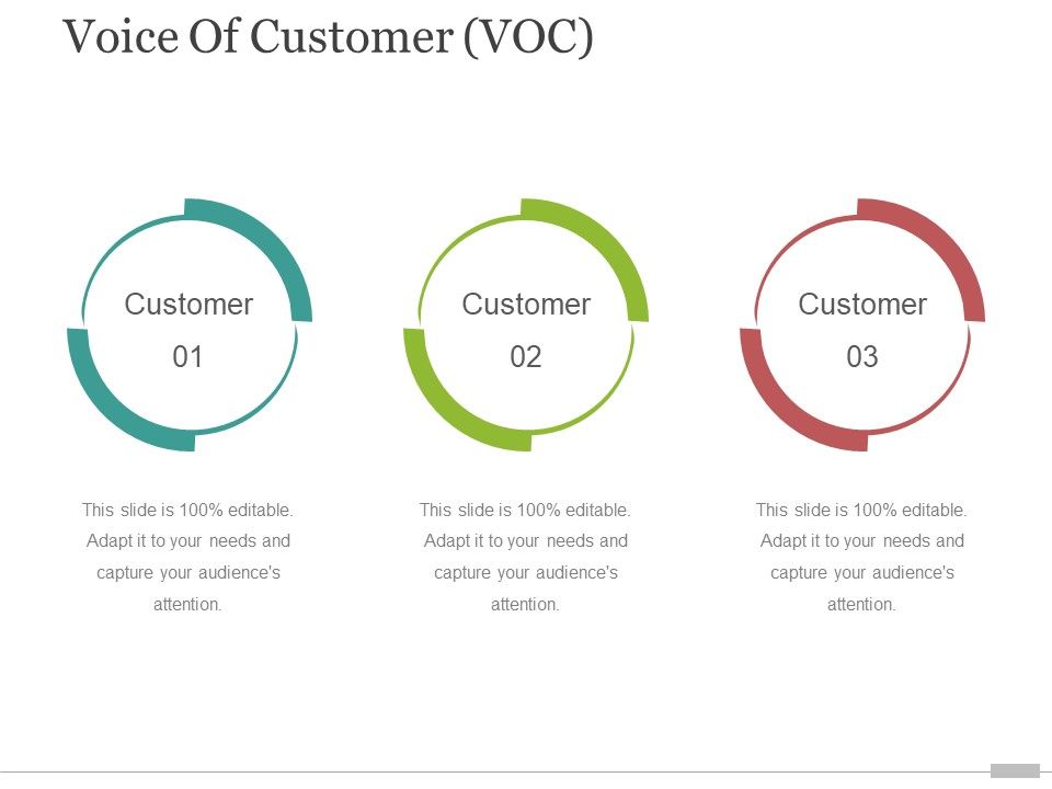 Voice_Of_Customer_Voc_Template_3_Ppt_PowerPoint_Presentation_Model_Summary_Slide_1.jpg