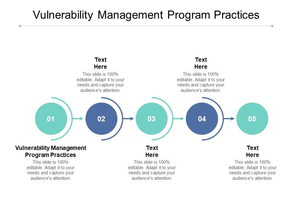 Vulnerability_Management_Program_Practices_Ppt_PowerPoint_Presentation_Inspiration_Cpb_Slide_1.jpg