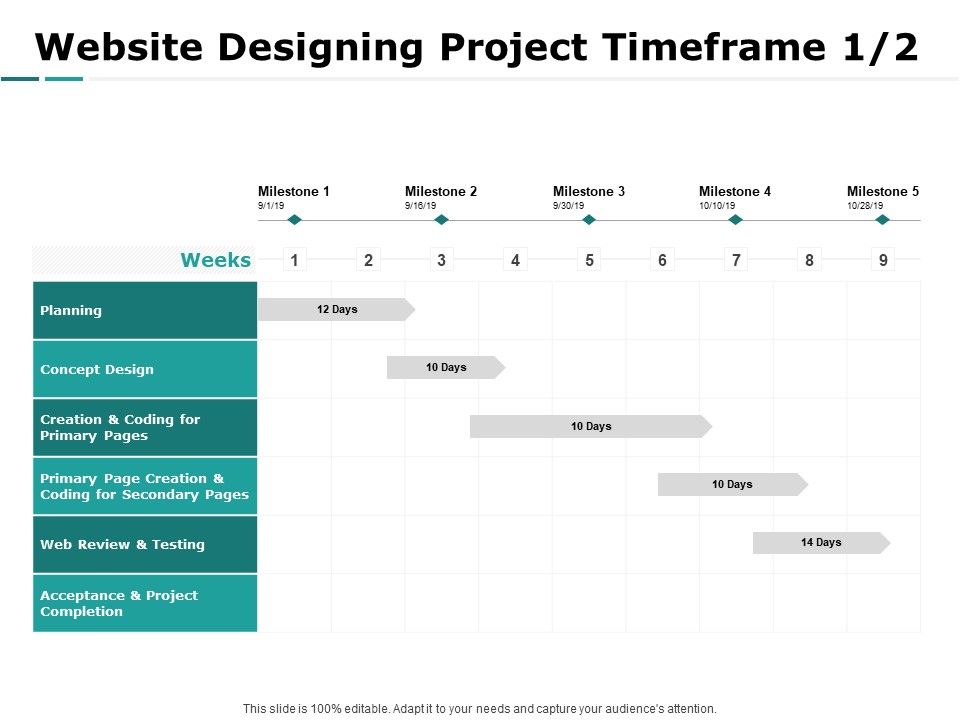 Web_Engineering_Website_Designing_Project_Timeframe_Milestone_Ppt_Summary_Themes_PDF_Slide_1.jpg