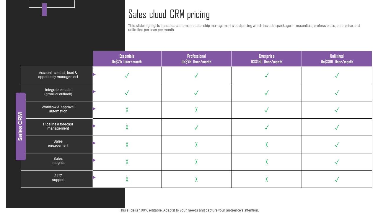Web_Hosting_Software_Company_Outline_Sales_Cloud_CRM_Pricing_Slides_PDF_Slide_1.jpg