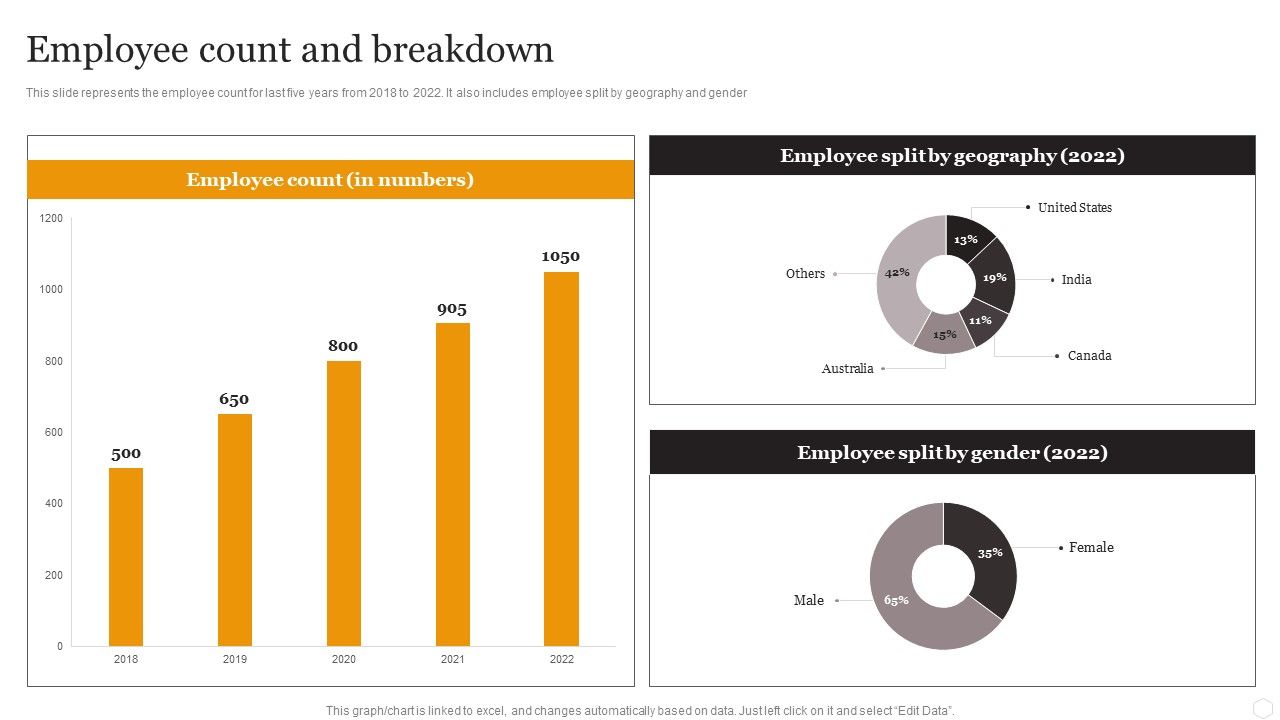 Website_Designing_Solutions_Company_Profile_Employee_Count_And_Breakdown_Rules_PDF_Slide_1.jpg