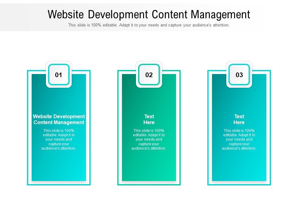 Website_Development_Content_Management_Ppt_PowerPoint_Presentation_Summary_Information_Cpb_Pdf_Slide_1.jpg