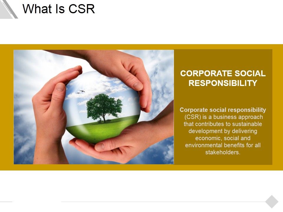 What_Is_Csr_Ppt_PowerPoint_Presentation_Portfolio_Professional_Slide_1.jpg