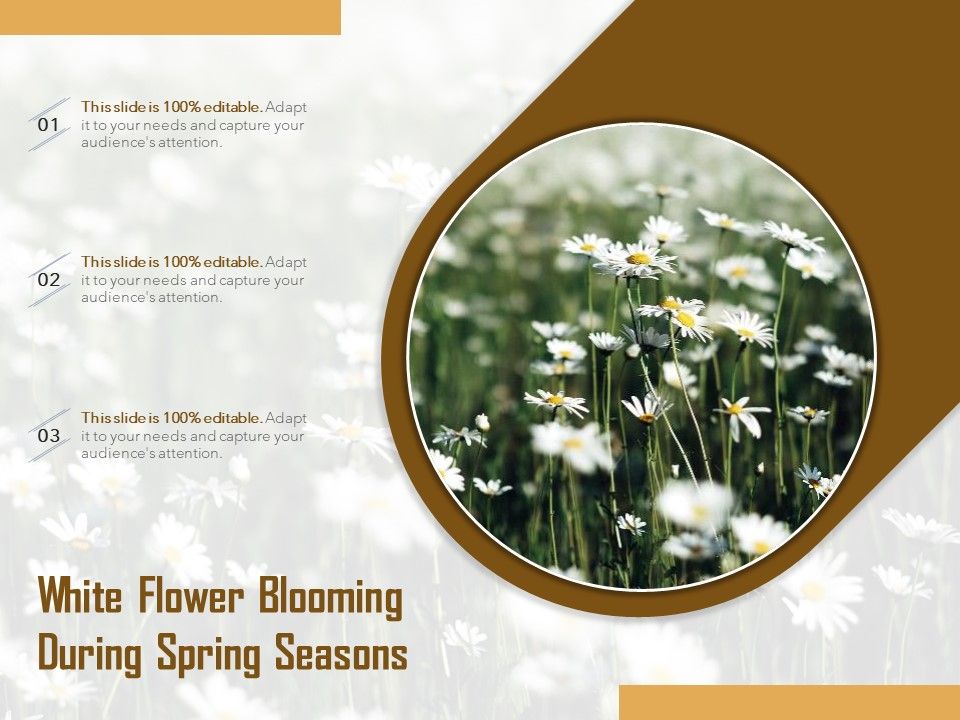White_Flower_Blooming_During_Spring_Seasons_Ppt_PowerPoint_Presentation_Summary_Graphics_Tutorials_PDF_Slide_1.jpg