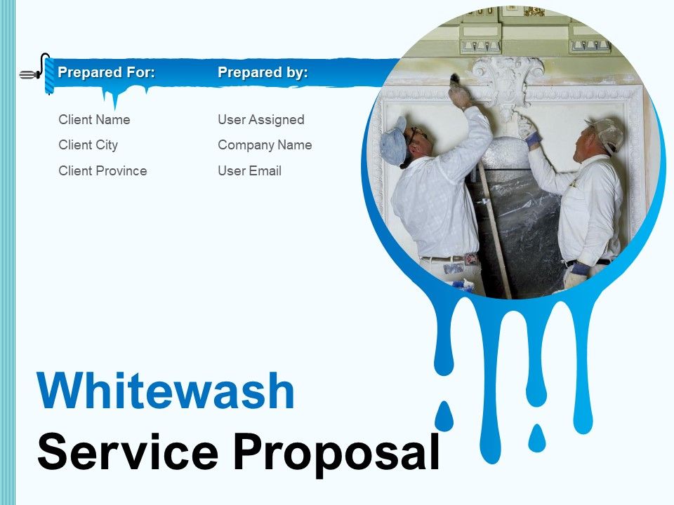Whitewash_Service_Proposal_Ppt_PowerPoint_Presentation_Complete_Deck_With_Slides_Slide_1.jpg