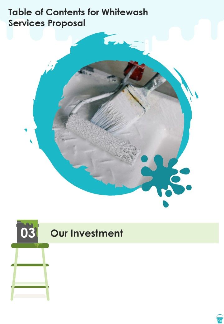 Whitewash Services Proposal Example Document Report Doc Pdf Ppt