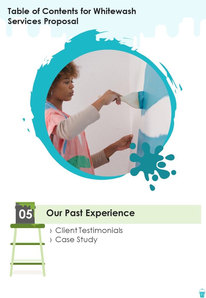 Whitewash Services Proposal Example Document Report Doc Pdf Ppt
