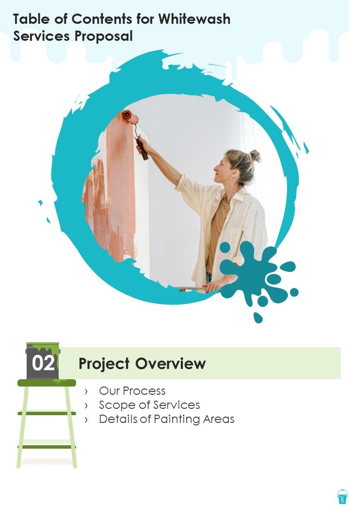 Whitewash Services Proposal Example Document Report Doc Pdf Ppt