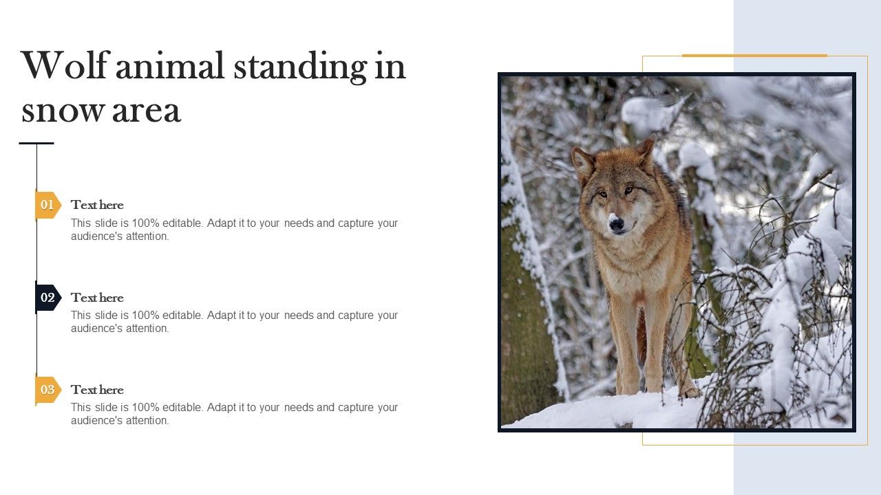 Wolf_Animal_Standing_In_Snow_Area_Themes_PDF_Slide_1.jpg