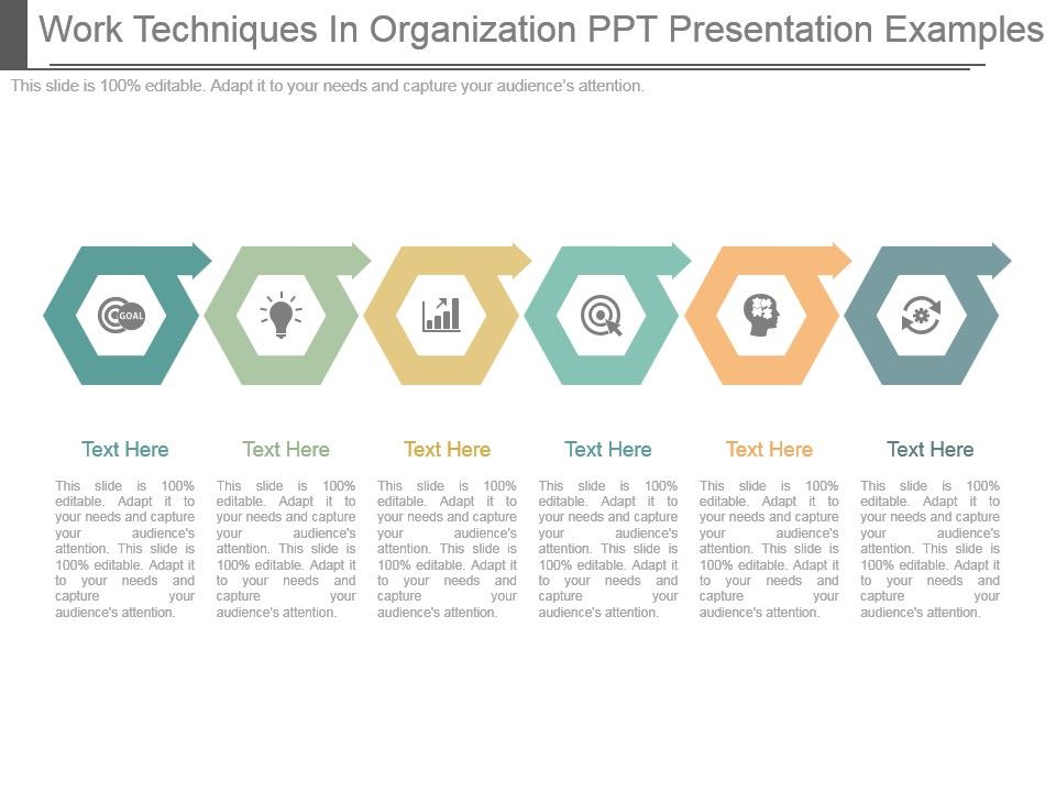 Work_Techniques_In_Organization_Ppt_Presentation_Examples_1.jpg