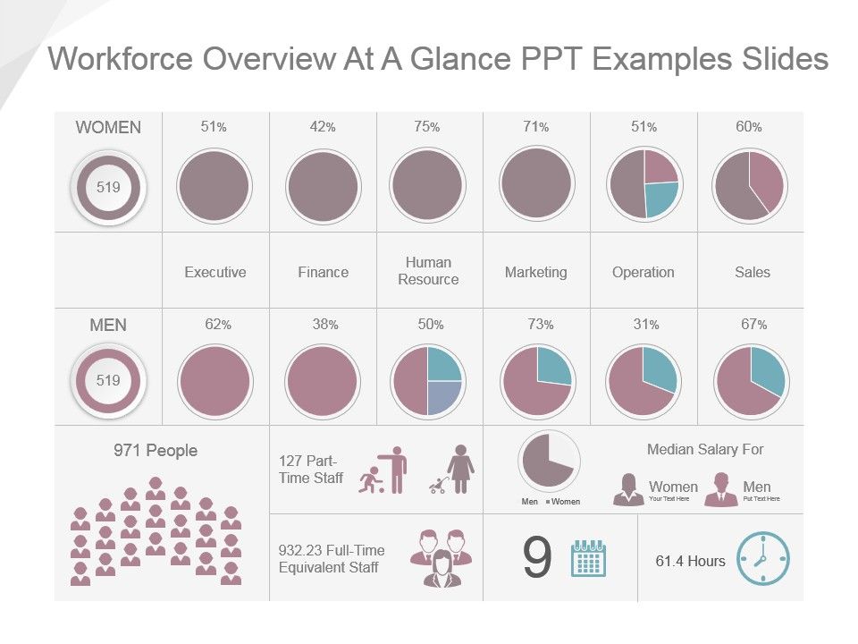 Workforce_Overview_At_A_Glance_Ppt_Examples_Slides_1.jpg