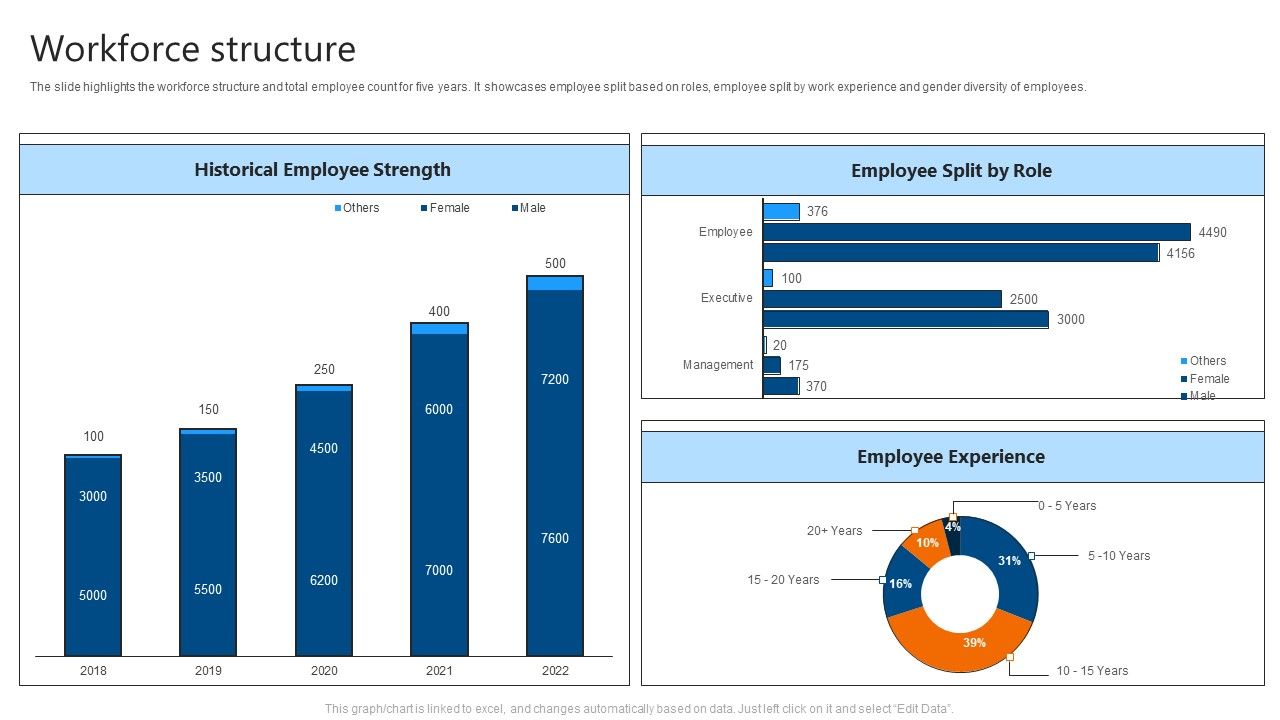 Workforce_Structure_IT_Software_Development_Company_Profile_Structure_PDF_Slide_1.jpg