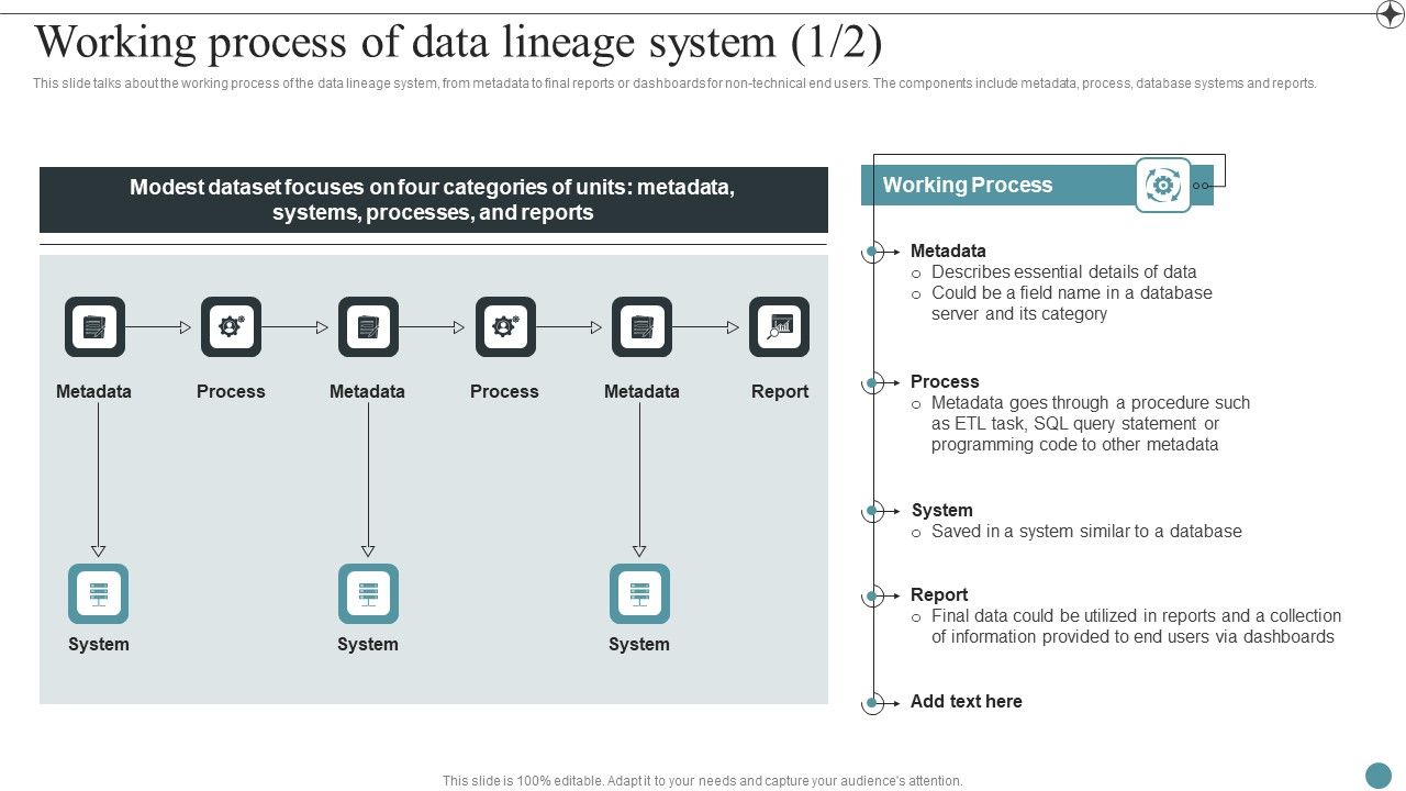 Working_Process_Of_Data_Lineage_System_Deploying_Data_Lineage_IT_Summary_PDF_Slide_1.jpg