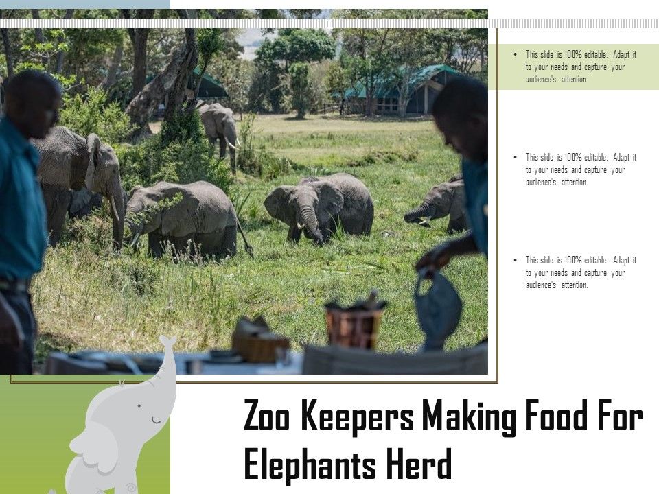 Zoo_Keepers_Making_Food_For_Elephants_Herd_Ppt_PowerPoint_Presentation_Model_Background_PDF_Slide_1.jpg