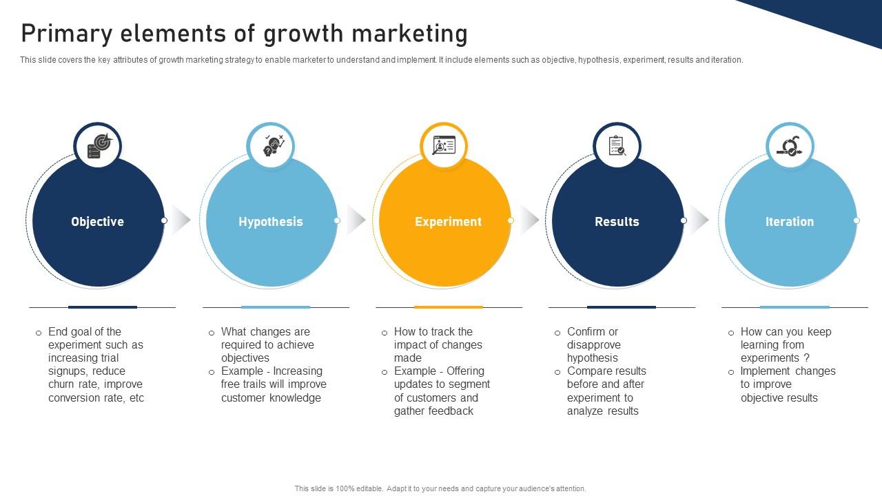 A Comprehensive Approach To Primary Elements Of Growth Marketing MKT SS V