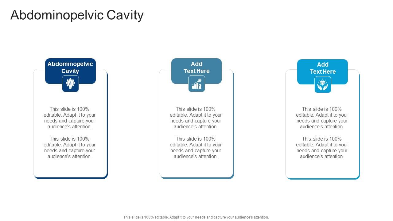 Abdominopelvic Cavity In Powerpoint And Google Slides Cpb