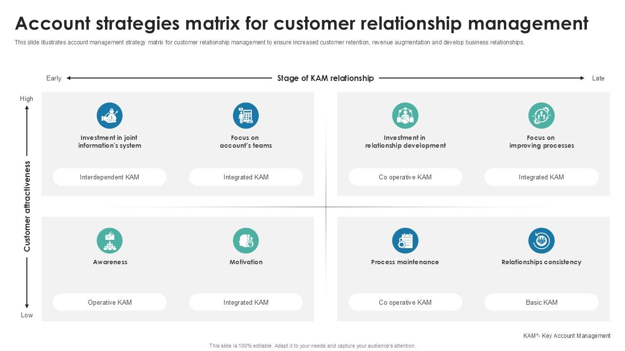 Account Strategies Matrix For Customer Relationship Management PPT PowerPoint SS