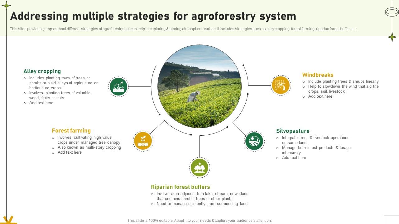 Addressing Multiple Strategies For Agroforestry System Adopting Sustainable Farming Techniques
