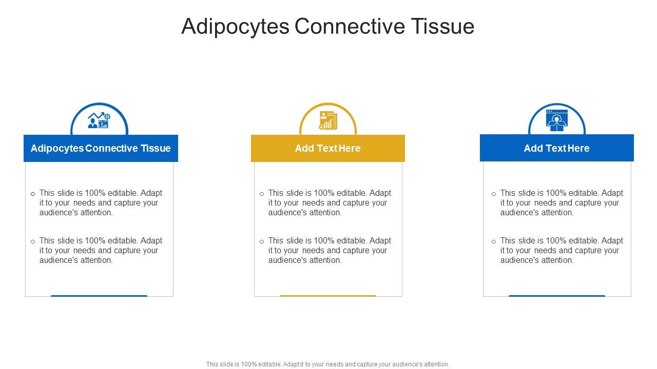 Adipocytes Connective Tissue In Powerpoint And Google Slides Cpb