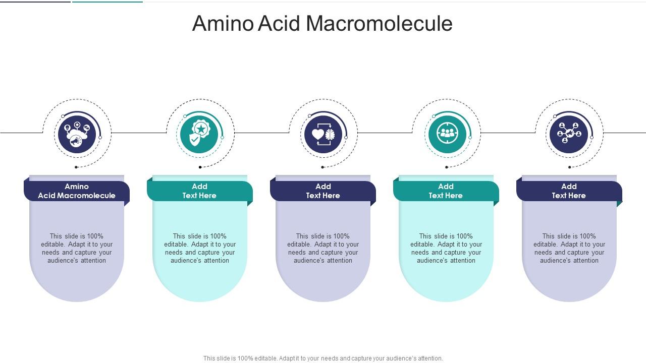Amino Acid Macromolecule In Powerpoint And Google Slides Cpb