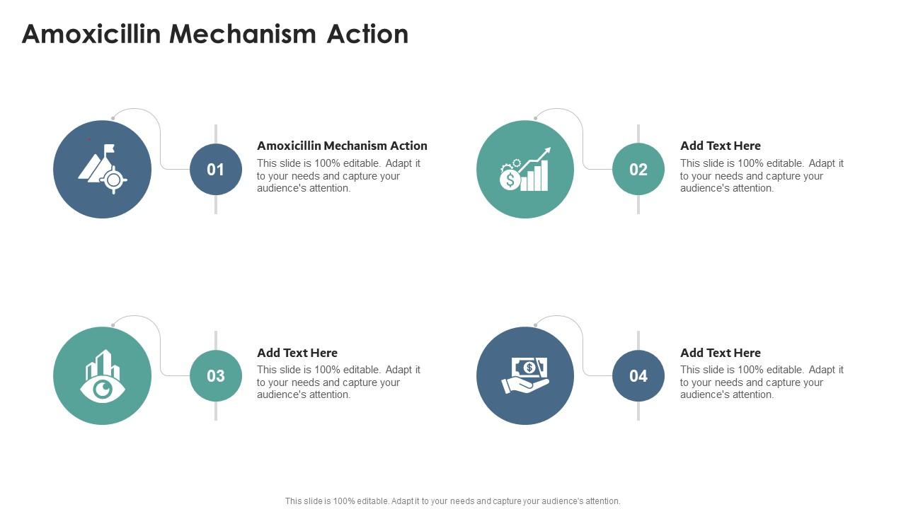 Amoxicillin Mechanism Action In Powerpoint And Google Slides Cpb