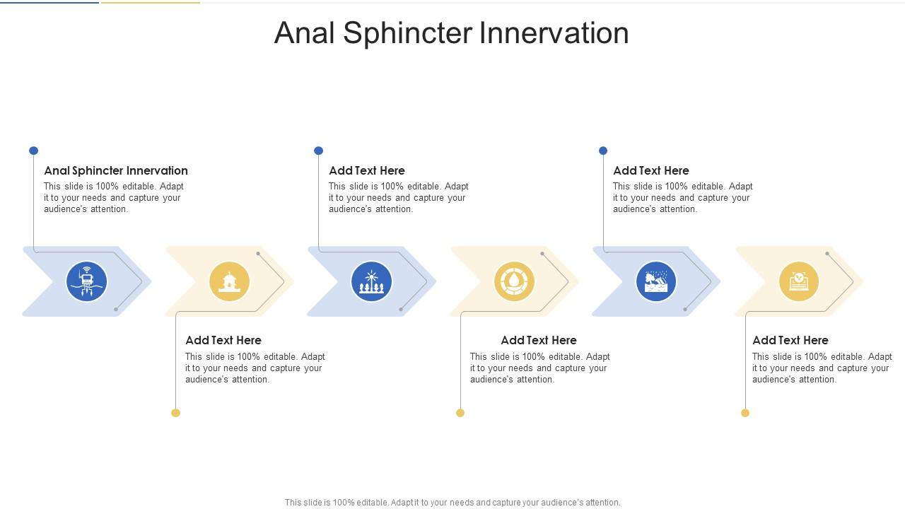 Anal Sphincter Innervation In Powerpoint And Google Slides Cpb