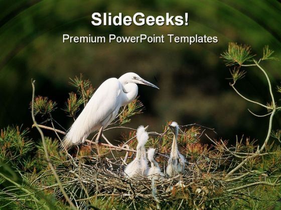 animals_on_tree_nature_powerpoint_themes_and_powerpoint_slides_0211_title.jpg