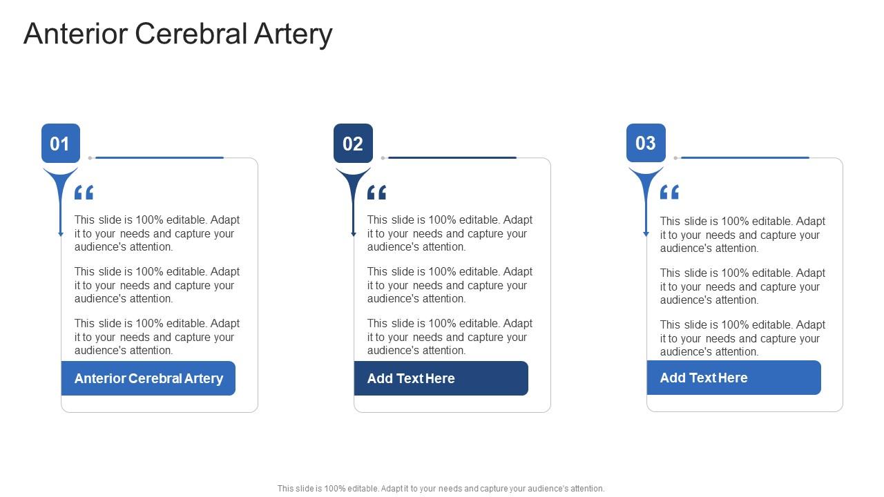 Anterior Cerebral Artery In Powerpoint And Google Slides Cpb