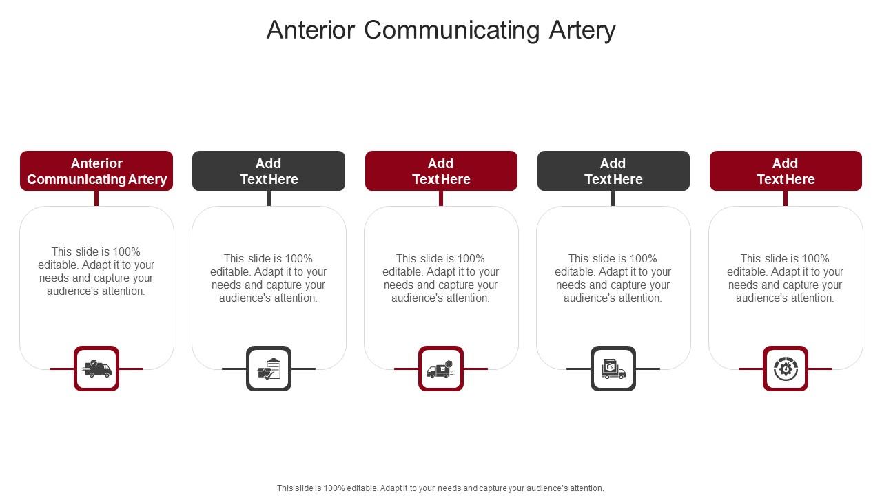 Anterior Communicating Artery In Powerpoint And Google Slides Cpb