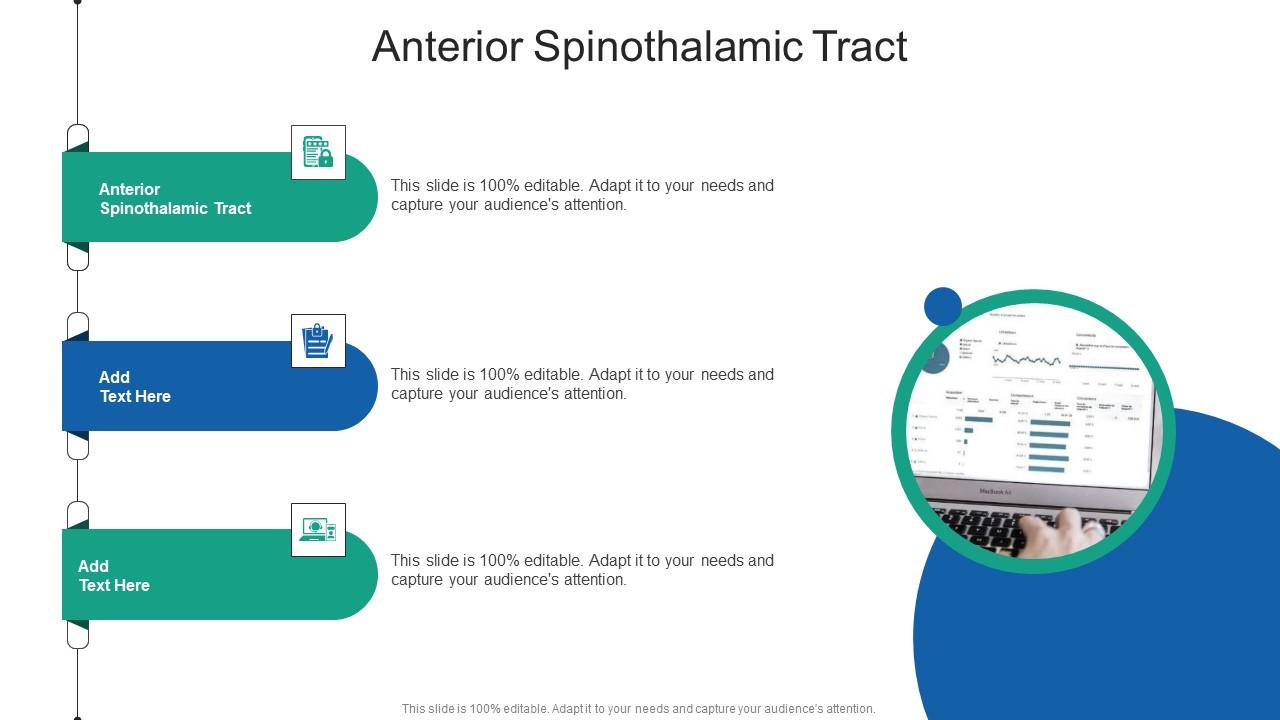 Anterior Spinothalamic Tract In Powerpoint And Google Slides Cpb