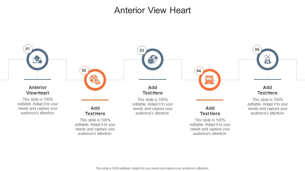 Anterior View Heart In Powerpoint And Google Slides Cpb
