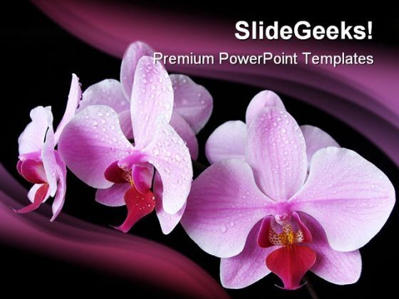 aplectrum_flower_nature_powerpoint_templates_and_powerpoint_backgrounds_0211_title.jpg