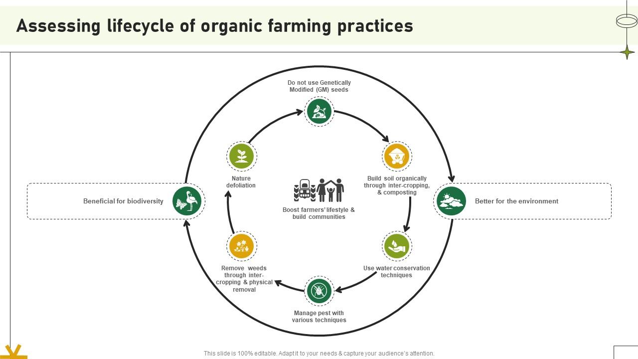 Assessing Lifecycle Of Organic Farming Practices Adopting Sustainable Farming Techniques