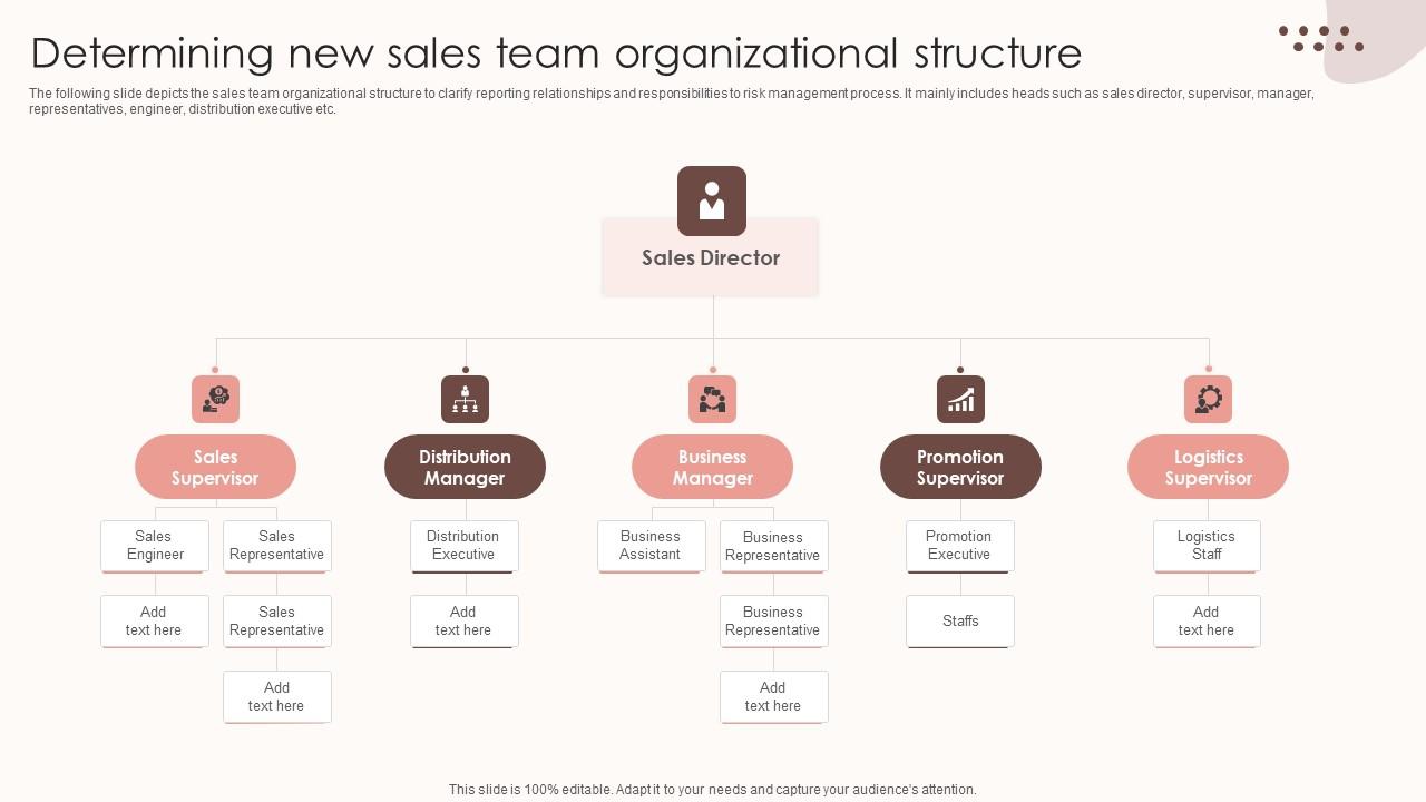 Assessing Sales Risks Determining New Sales Team Organizational Structure Sample PDF