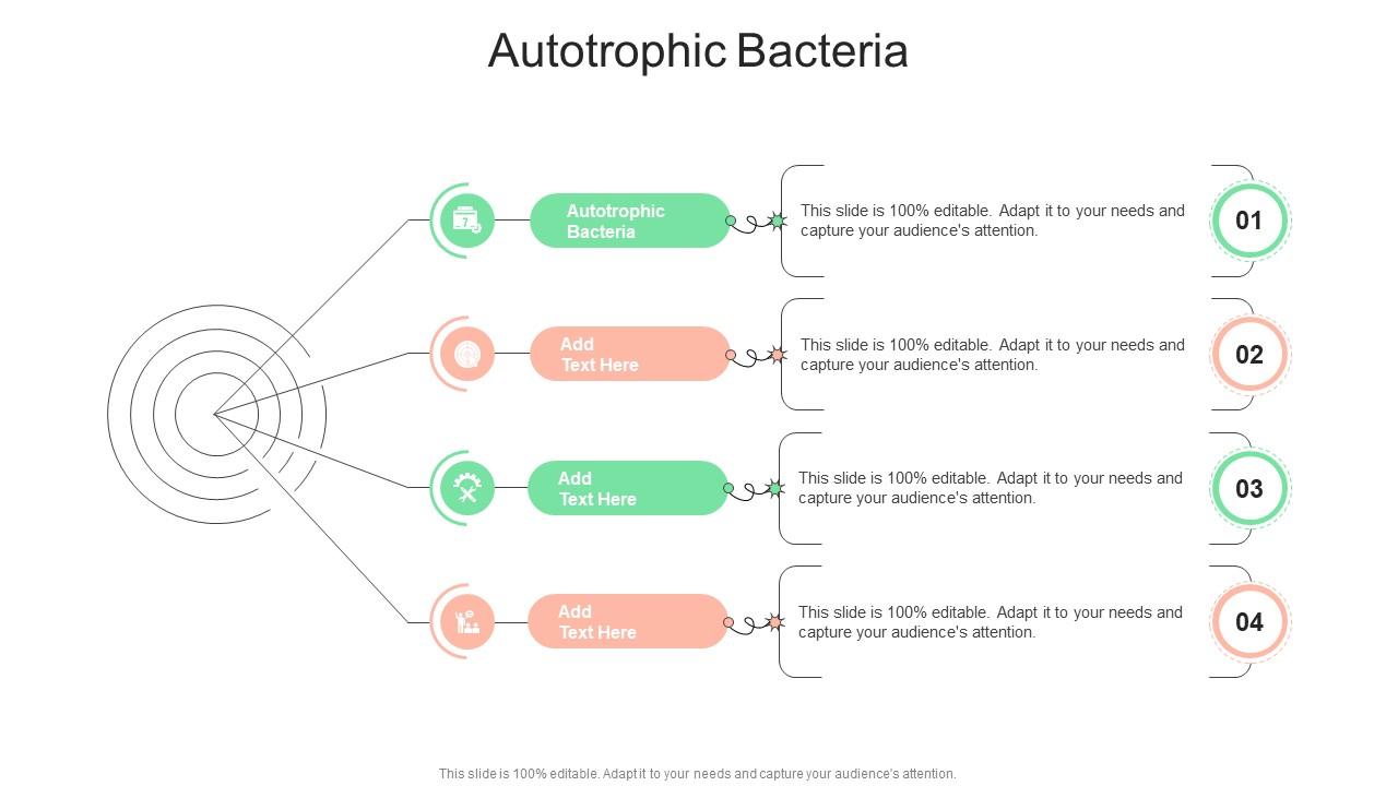 Autotrophic Bacteria In Powerpoint And Google Slides Cpb