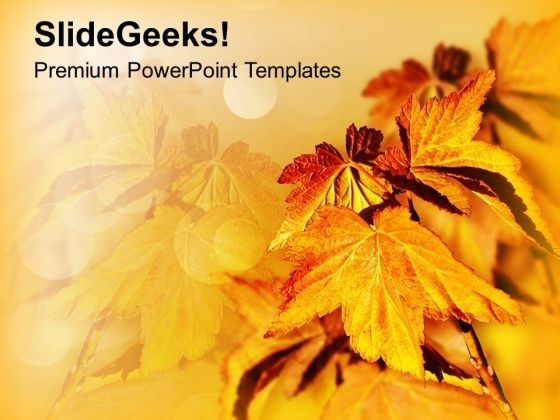 autumn_leaves_background_beauty_powerpoint_templates_ppt_backgrounds_for_slides_0213_title.jpg