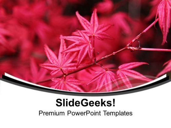 autumn_theme_with_pink_flowers_powerpoint_templates_ppt_backgrounds_for_slides_0513_title.jpg