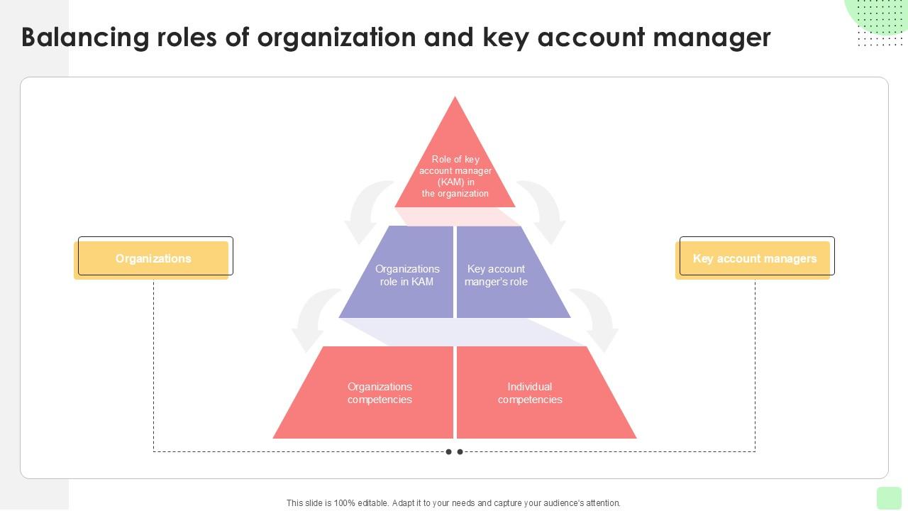 Balancing Roles Of Organization Detailed Business Account PPT Slide Strategy SS V
