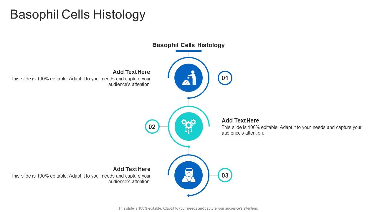 Basophil Cells Histology In Powerpoint And Google Slides Cpb