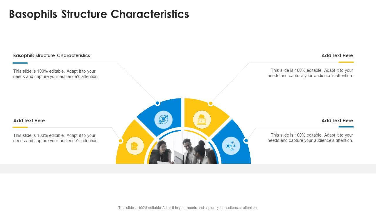 Basophils Structure Characteristics In Powerpoint And Google Slides Cpb