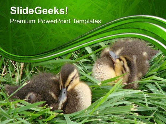 beautiful_background_with_ducklings_powerpoint_templates_ppt_backgrounds_for_slides_0613_title.jpg